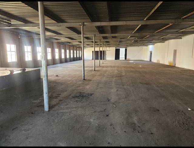 1,001M² INVESTMENT TO LET IN WADEVILLE